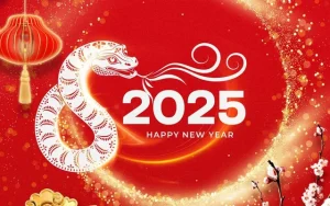 loi-chuc-nam-moi-2025-11-17356352822571773631665